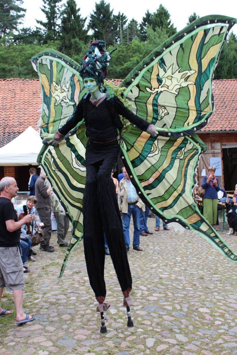 e-Ventschau 2014